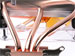 newegg