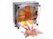 newegg