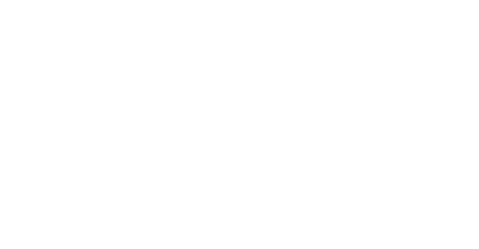 image for this item