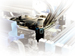 newegg