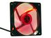 newegg
