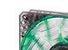 newegg