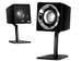 newegg