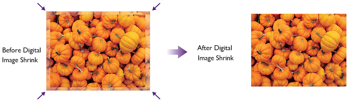 Digital Image Shrink Maintaining the the Resolution and Quality of an Image of a Pile of Pumpkins
