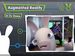newegg
