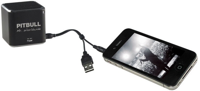 RockDoc POWER with iPhone view