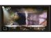 newegg