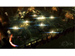 newegg
