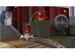 newegg