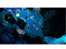 newegg