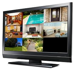 Multiple viewing options