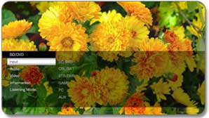 On screen display via hdmi