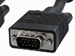 newegg