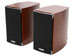 newegg