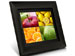 newegg