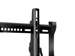 newegg
