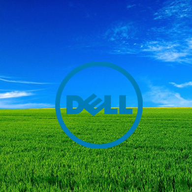 Dell Logo on a Bright Green Field of Grass Under a Deep Blue Sky with Some Clouds