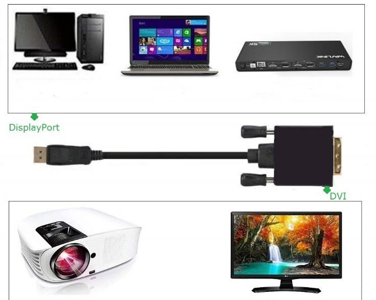 diagram of how the DisplayPort to DVI Cable connects to devices