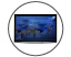 image for this item
