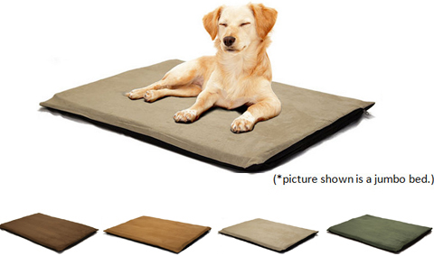 detailed view and application