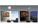 newegg