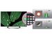newegg