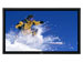 newegg