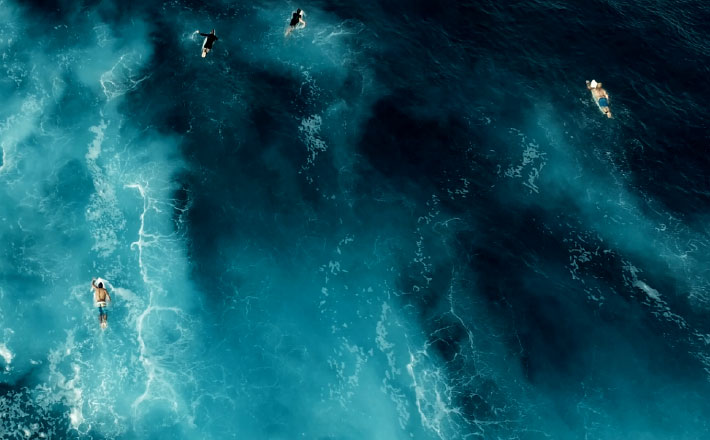 Many people surfing in the sea