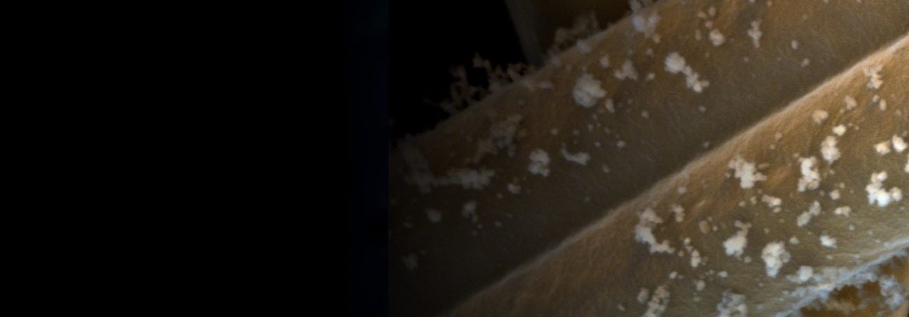 Dust particles on a dust filter