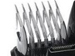 newegg