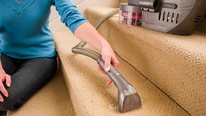 1_Manual_Cleaning