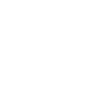 FSR2 Formula Wheel