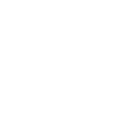 FSR2 Formula Wheel