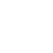 FSR2 Formula Wheel