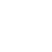 FSR2 Formula Wheel
