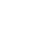 FSR2 Formula Wheel