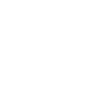 FSR2 Formula Wheel
