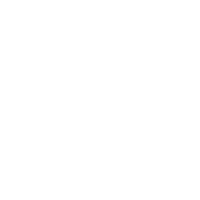 FSR2 Formula Wheel