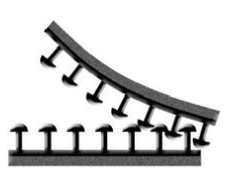 3M™ Dual Lock™ Reclosable Fastener MP3541/MP3542