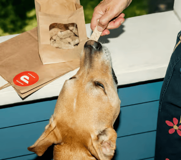 DoorDash E-Gift Card