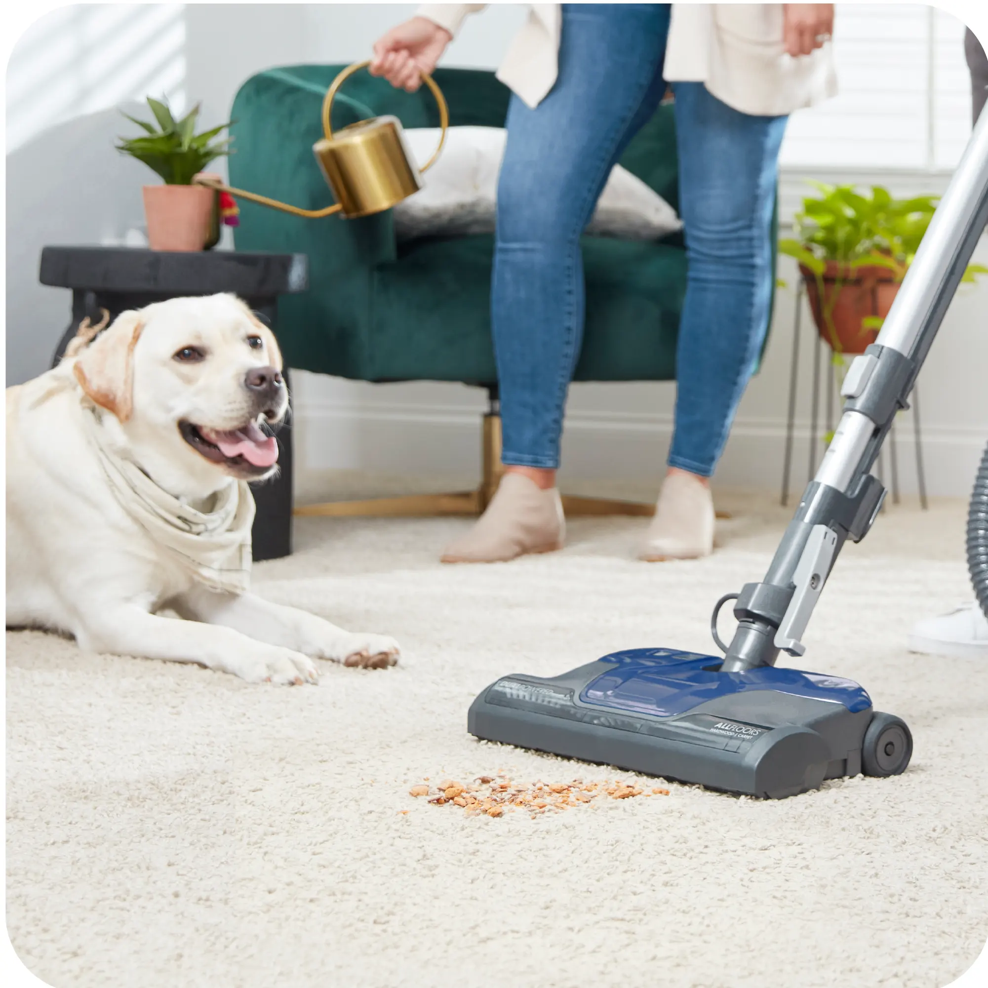 Kenmore Pet Friendly POP-N-GO Bagged Canister Vacuum