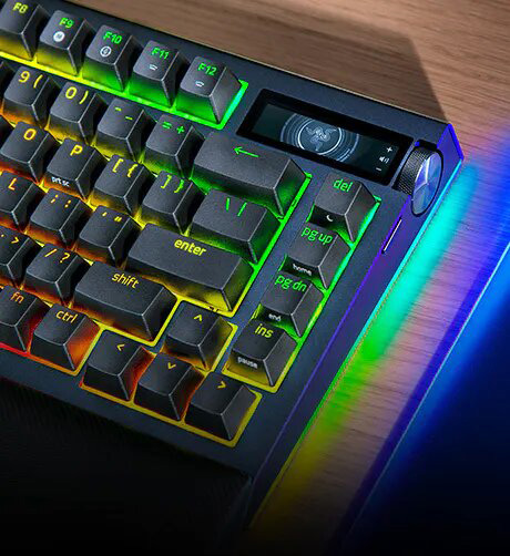 RAZER BLACKWIDOW V4 PRO 75% Gaming Headset