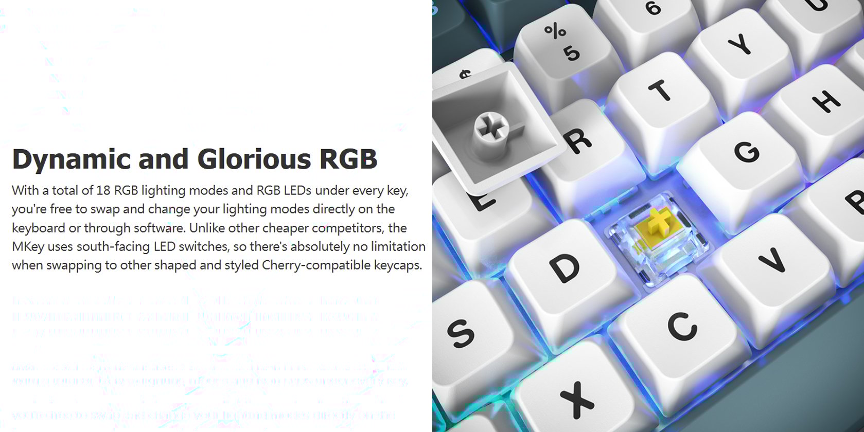 Montech MKey TKL Mechanical Gaming Keyboard: Customizable RGB LED, Premium MDA Profile PBT Keycap, Engineered Acoustics, Hot-Swappable Gateron G Pro 2.0 Switches, Stunning Osaka Castle Theme, Freedom 8 11