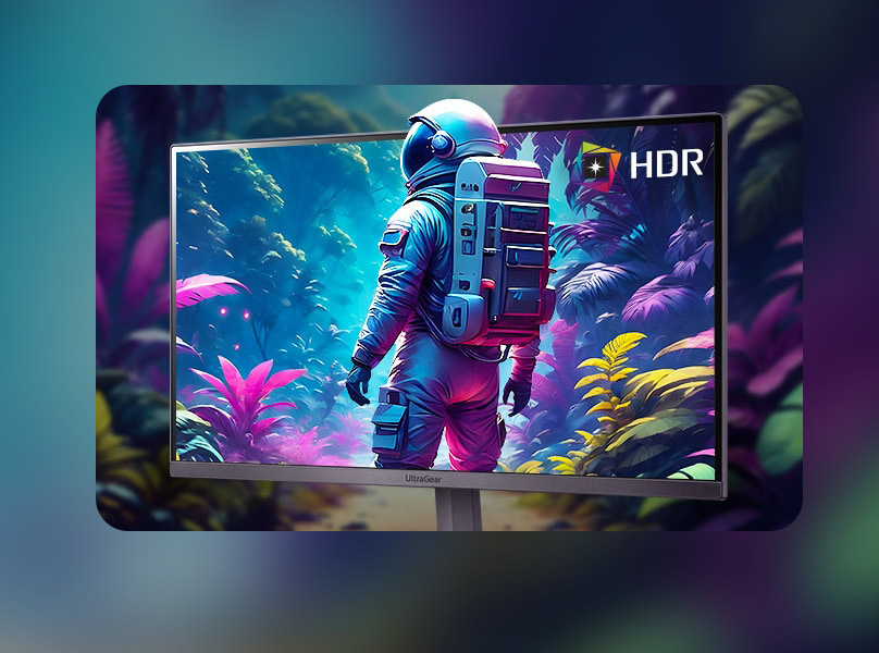 LG 24GS50FX-B Monitor