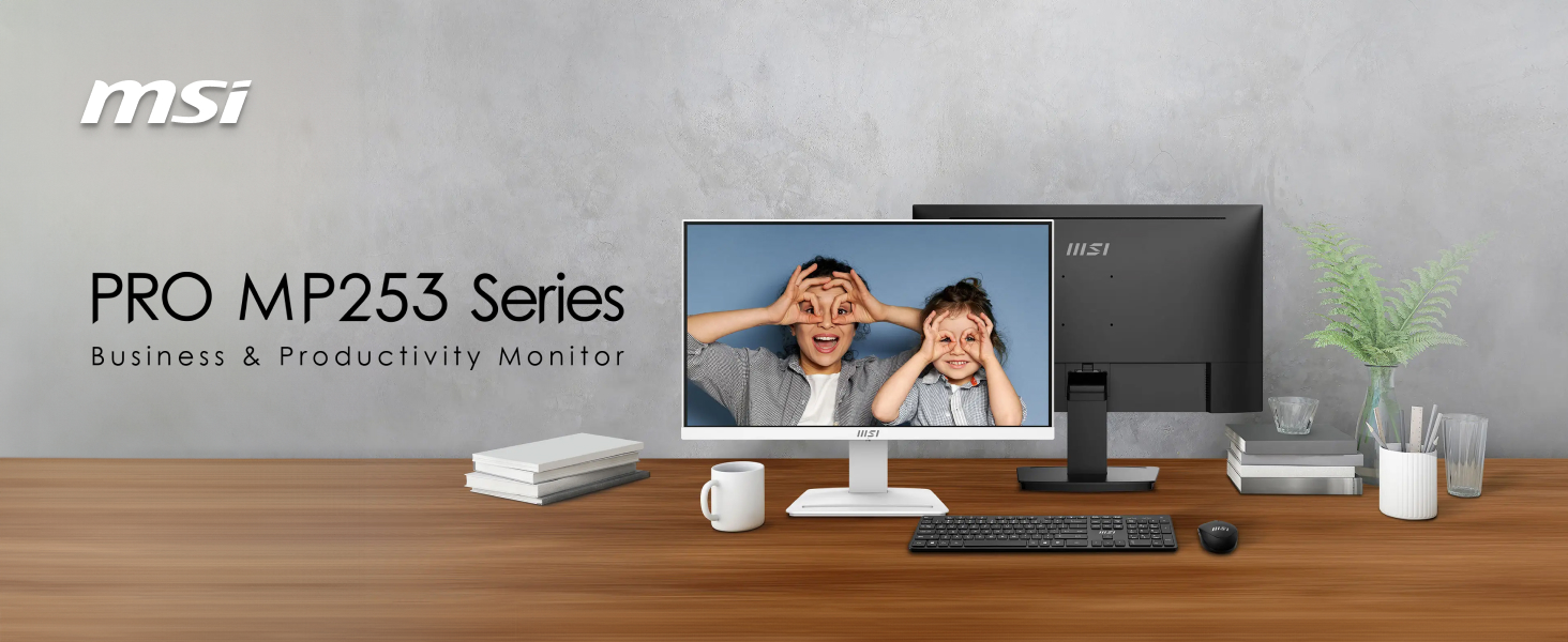 MSI PRO MP253 Gaming Office Monitor