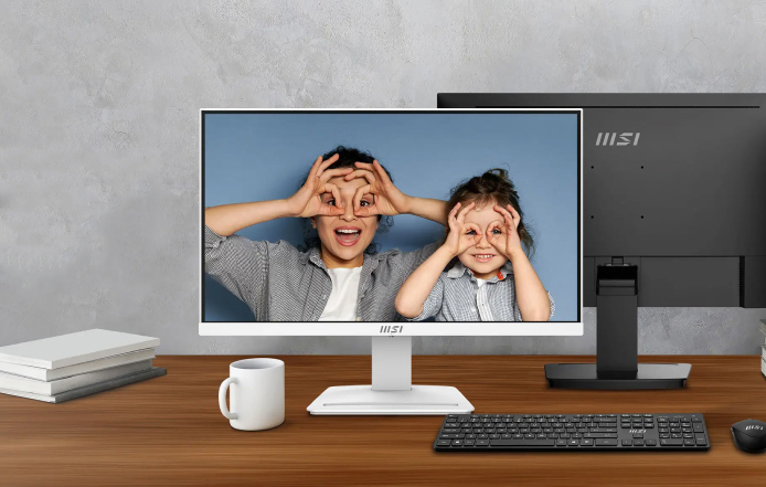 MSI PRO MP253 Gaming Office Monitor