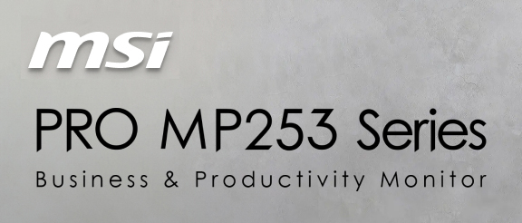MSI PRO MP253 Gaming Office Monitor