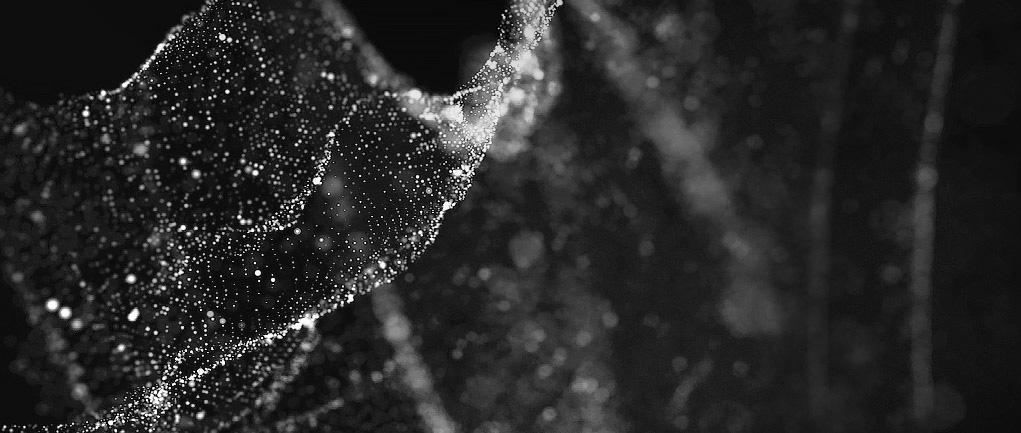 MSI MAG 32CQ6F Gaming Monitor