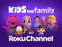 Roku Streaming Stick HD Streaming Device