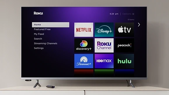 Roku Express Streaming Media Player